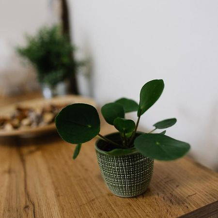 90 M2 Horsky Apartman V Centru Harrachova 외부 사진